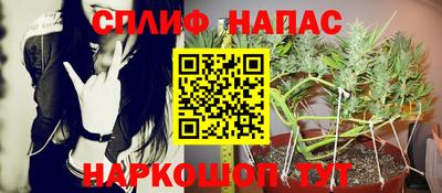 apvp Новозыбков