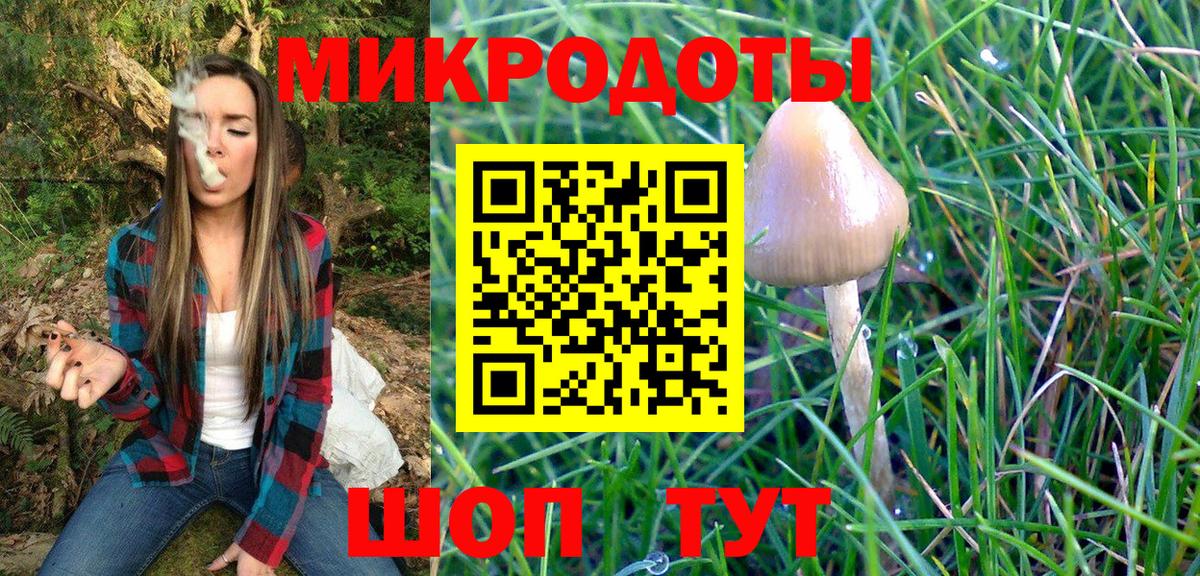 Псилоцибиновые грибы GOLDEN TEACHER Тобольск